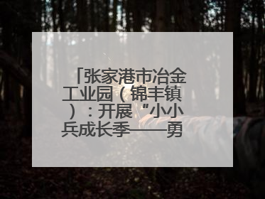 张家港市冶金工业园（锦丰镇）：开展“小小兵成长季——勇敢挑战营”国防启蒙教育活动