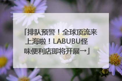 排队预警！全球顶流来上海啦！LABUBU怪味便利店即将开展→