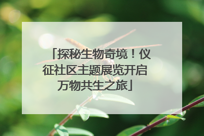 探秘生物奇境！仪征社区主题展览开启万物共生之旅