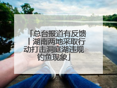 总台报道有反馈丨湖南两地采取行动打击洞庭湖违规钓鱼现象