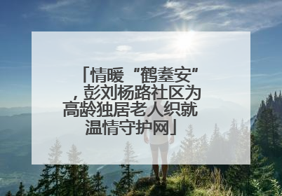 情暖“鹤耋安”，彭刘杨路社区为高龄独居老人织就温情守护网