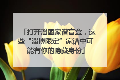 打开淄图家谱盲盒，这些“淄博限定”家谱中可能有你的隐藏身份