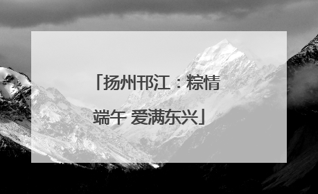 扬州邗江：粽情端午 爱满东兴