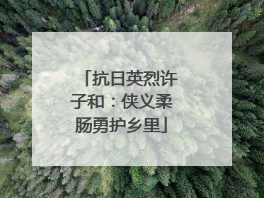 抗日英烈许子和：侠义柔肠勇护乡里