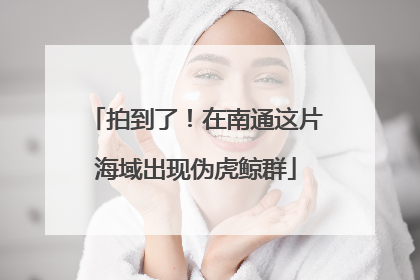 拍到了！在南通这片海域出现伪虎鲸群
