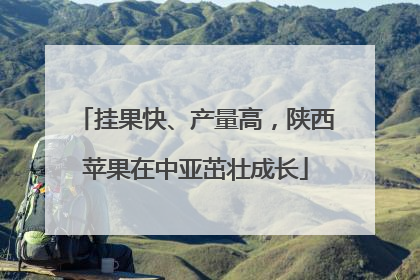 挂果快、产量高，陕西苹果在中亚茁壮成长