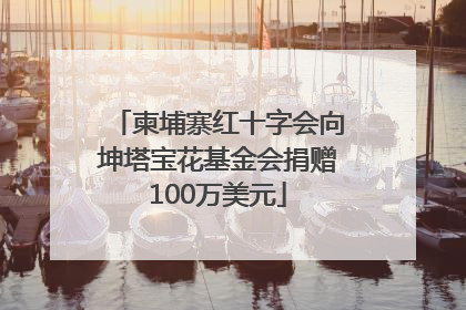 柬埔寨红十字会向坤塔宝花基金会捐赠100万美元