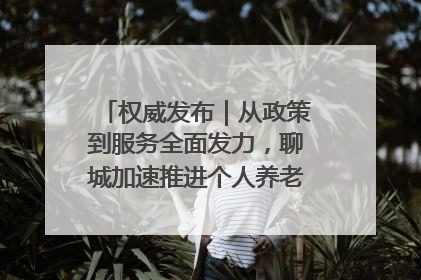 权威发布｜从政策到服务全面发力，聊城加速推进个人养老金制度落地