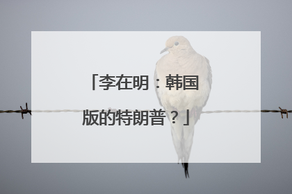 李在明：韩国版的特朗普？