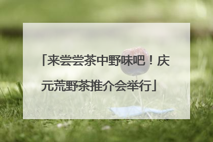 来尝尝茶中野味吧！庆元荒野茶推介会举行