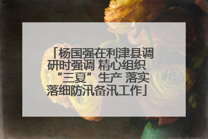 杨国强在利津县调研时强调 精心组织“三夏”生产 落实落细防汛备汛工作