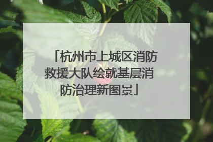 杭州市上城区消防救援大队绘就基层消防治理新图景