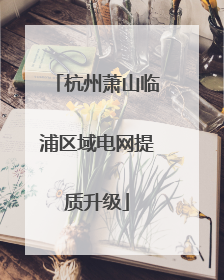 杭州萧山临浦区域电网提质升级