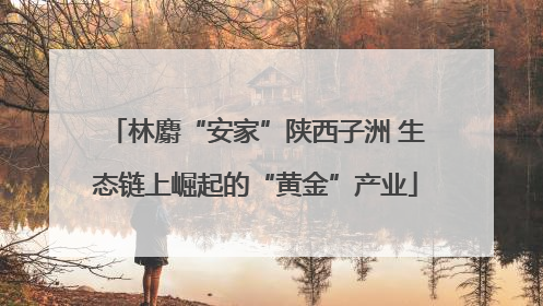 林麝“安家”陕西子洲 生态链上崛起的“黄金”产业