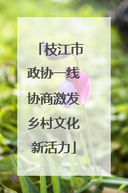 枝江市政协一线协商激发乡村文化新活力