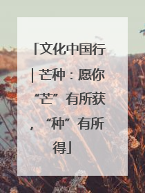 文化中国行｜芒种：愿你“芒”有所获，“种”有所得