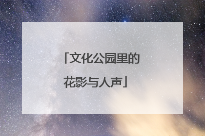 文化公园里的花影与人声