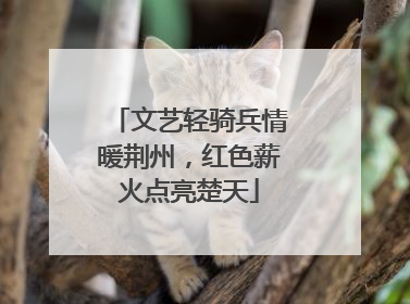 文艺轻骑兵情暖荆州，红色薪火点亮楚天