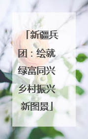新疆兵团：绘就绿富同兴乡村振兴新图景
