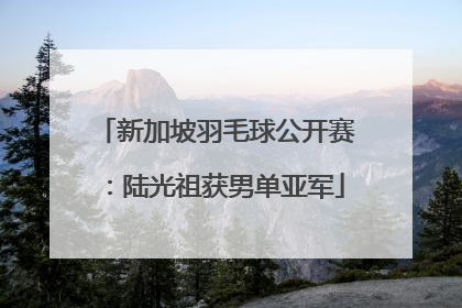 新加坡羽毛球公开赛：陆光祖获男单亚军