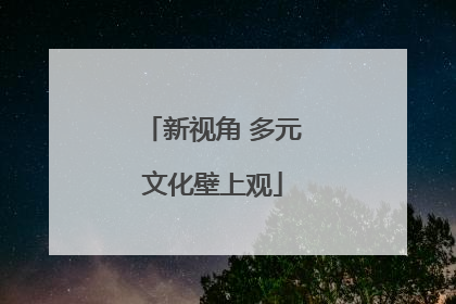 新视角 多元文化壁上观