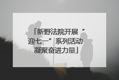 新野法院开展“迎七一”系列活动 凝聚奋进力量