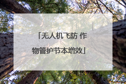 无人机飞防 作物管护节本增效