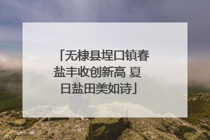 无棣县埕口镇春盐丰收创新高 夏日盐田美如诗
