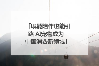 既能陪伴也能引路 AI宠物成为中国消费新领域