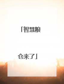 智慧粮仓来了