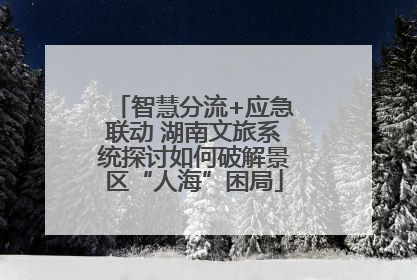 智慧分流+应急联动 湖南文旅系统探讨如何破解景区“人海”困局
