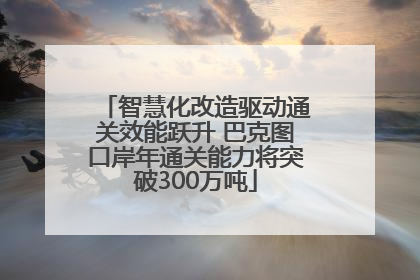 智慧化改造驱动通关效能跃升 巴克图口岸年通关能力将突破300万吨