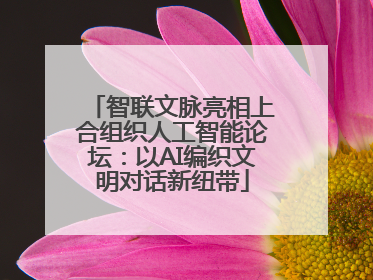 智联文脉亮相上合组织人工智能论坛：以AI编织文明对话新纽带