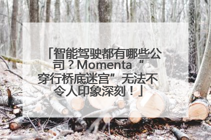 智能驾驶都有哪些公司？Momenta“穿行桥底迷宫”无法不令人印象深刻！