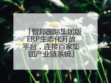 智邦国际集团版ERP生态化开放平台，连接百家集团产业链系统