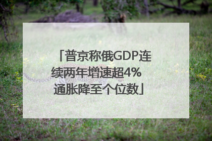 普京称俄GDP连续两年增速超4% 通胀降至个位数