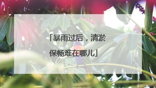 暴雨过后，清淤保畅难在哪儿