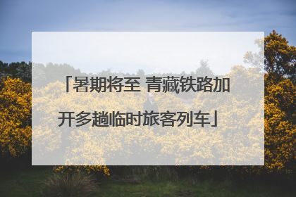 暑期将至 青藏铁路加开多趟临时旅客列车