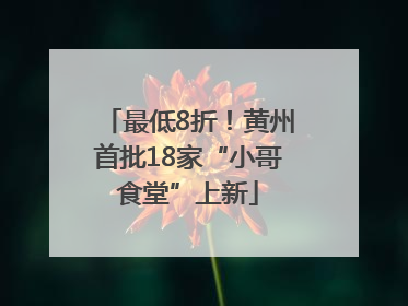 最低8折！黄州首批18家“小哥食堂”上新
