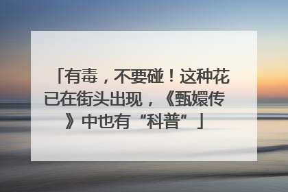 有毒，不要碰！这种花已在街头出现，《甄嬛传》中也有“科普”