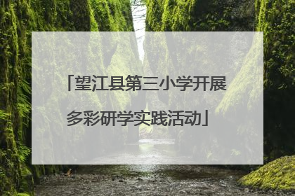 望江县第三小学开展多彩研学实践活动