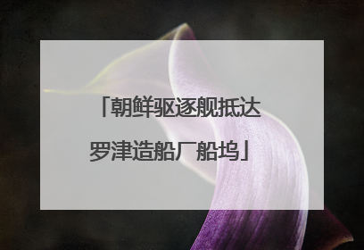 朝鲜驱逐舰抵达罗津造船厂船坞