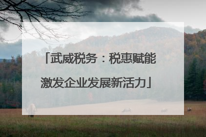 武威税务：税惠赋能 激发企业发展新活力