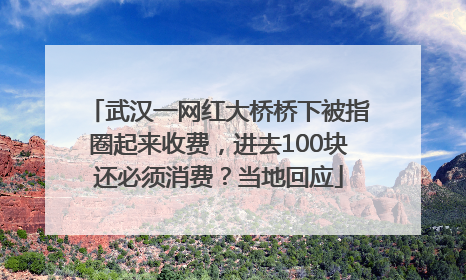 武汉一网红大桥桥下被指圈起来收费，进去100块还必须消费？当地回应