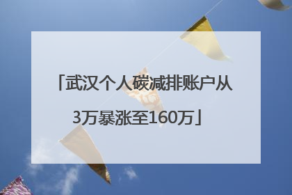 武汉个人碳减排账户从3万暴涨至160万