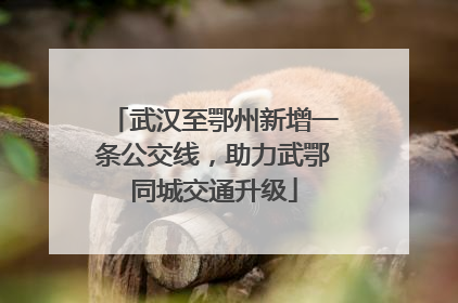 武汉至鄂州新增一条公交线，助力武鄂同城交通升级