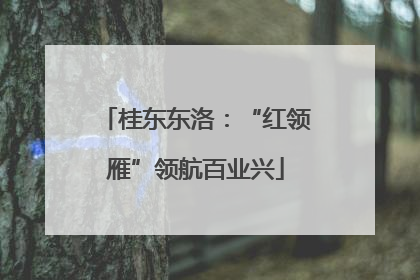 桂东东洛：“红领雁”领航百业兴