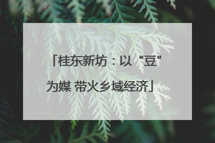 桂东新坊：以“豆”为媒 带火乡域经济