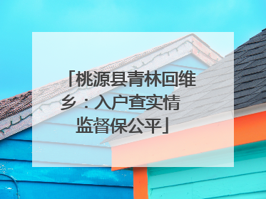 桃源县青林回维乡：入户查实情 监督保公平
