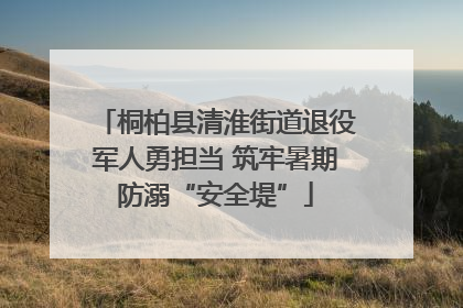 桐柏县清淮街道退役军人勇担当 筑牢暑期防溺“安全堤”